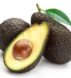 Avocado Hass